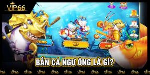 Bắn cá ngư ông là gì?