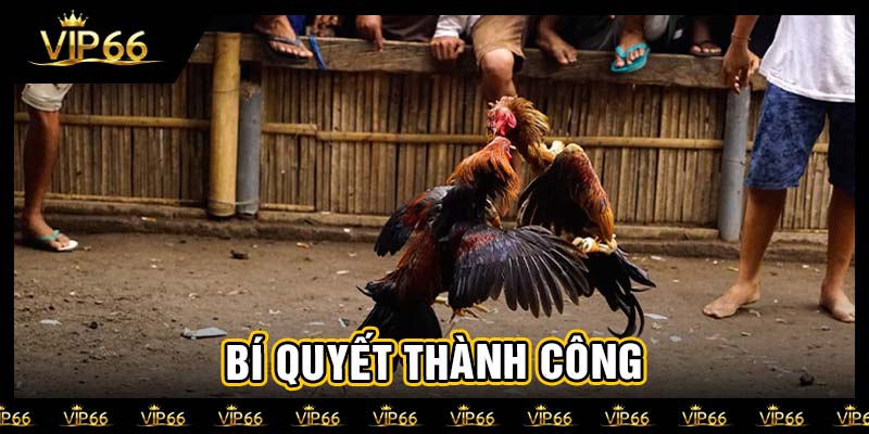 Bí quyết thành công