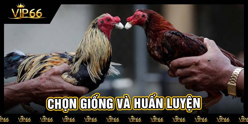 Chọn giống và huấn luyện