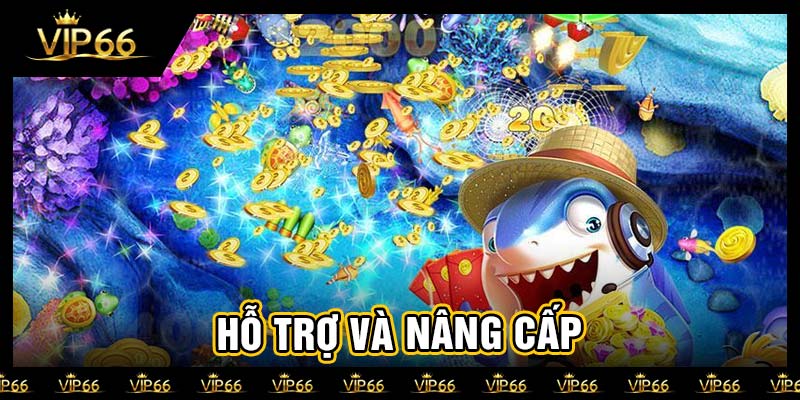 Hỗ trợ và nâng cấp