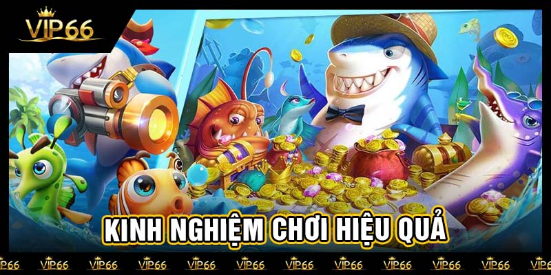 Kinh nghiệm chơi hiệu quả