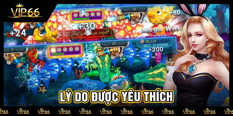 Lý do được yêu thích