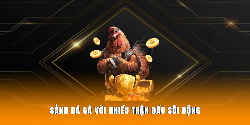 Sảnh đá gà với nhiều trận đấu sôi động