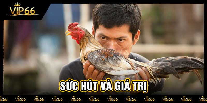 Sức hút và giá trị
