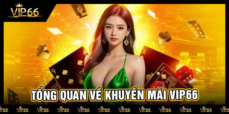 Tổng quan về khuyến mãi vip66
