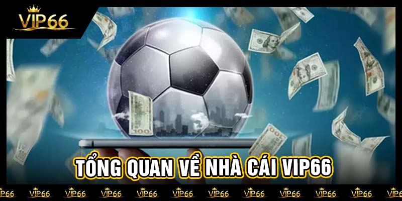 Tổng quan về nhà cái vip66
