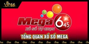 Tổng quan Xổ số Mega