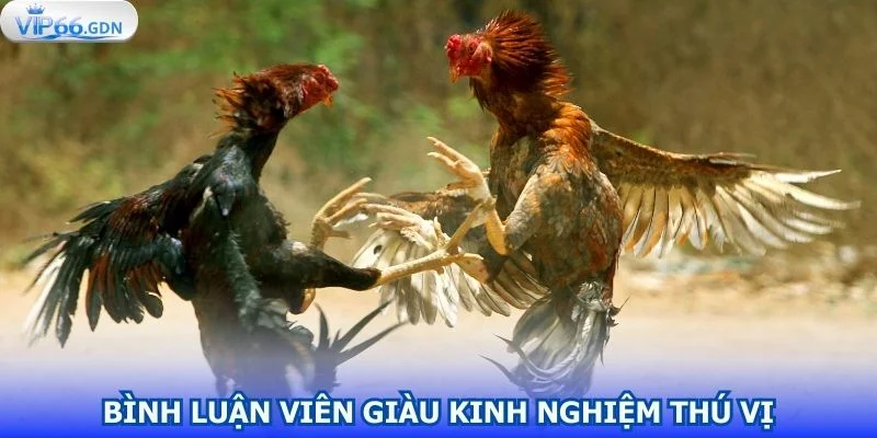 binh-luan-vien-giau-kinh-nghiem-thu-vi-va-hap-dan