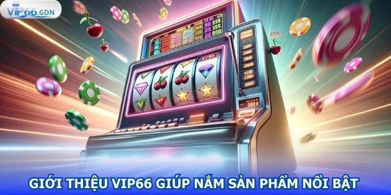 gioi-thieu-vip66-giup-bet-thu-nam-duoc-san-pham-noi-bat