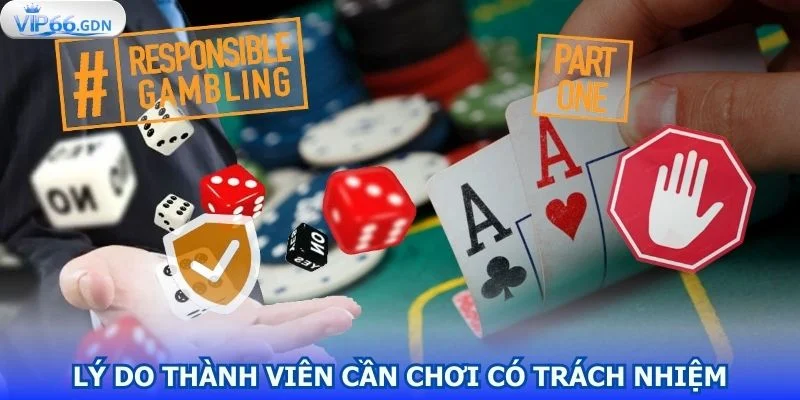 tim-hieu-ly-do-thanh-vien-can-choi-co-trach-nhiem