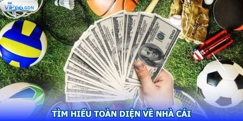 tim-hieu-toan-dien-ve-nha-cai-qua-phan-gioi-thieu-vip66