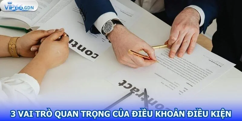 vai-tro-quan-trong-cua-dieu-khoan-dieu-kien